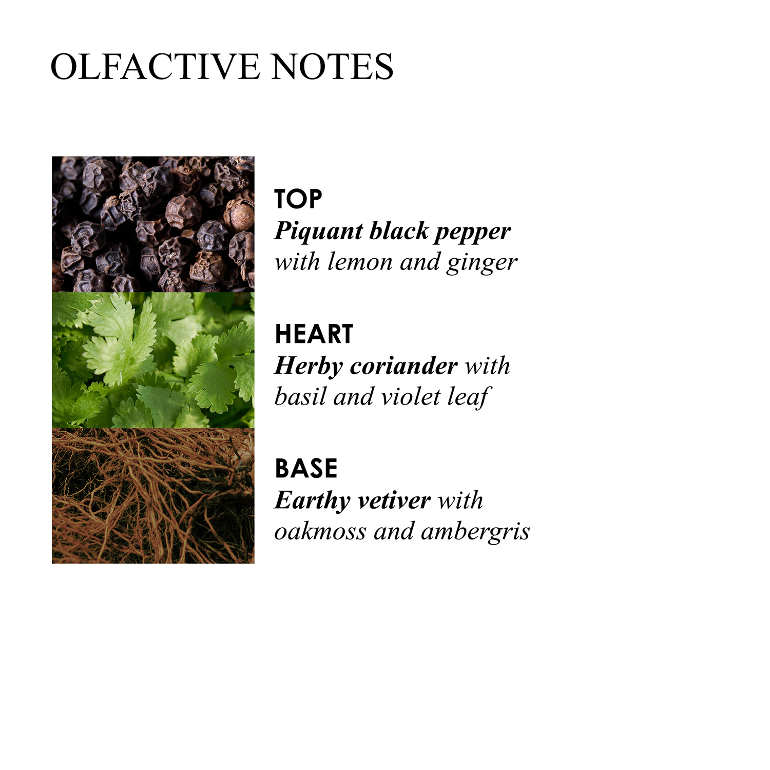 Molton Brown - Re-charge Black Pepper - Duftkerze