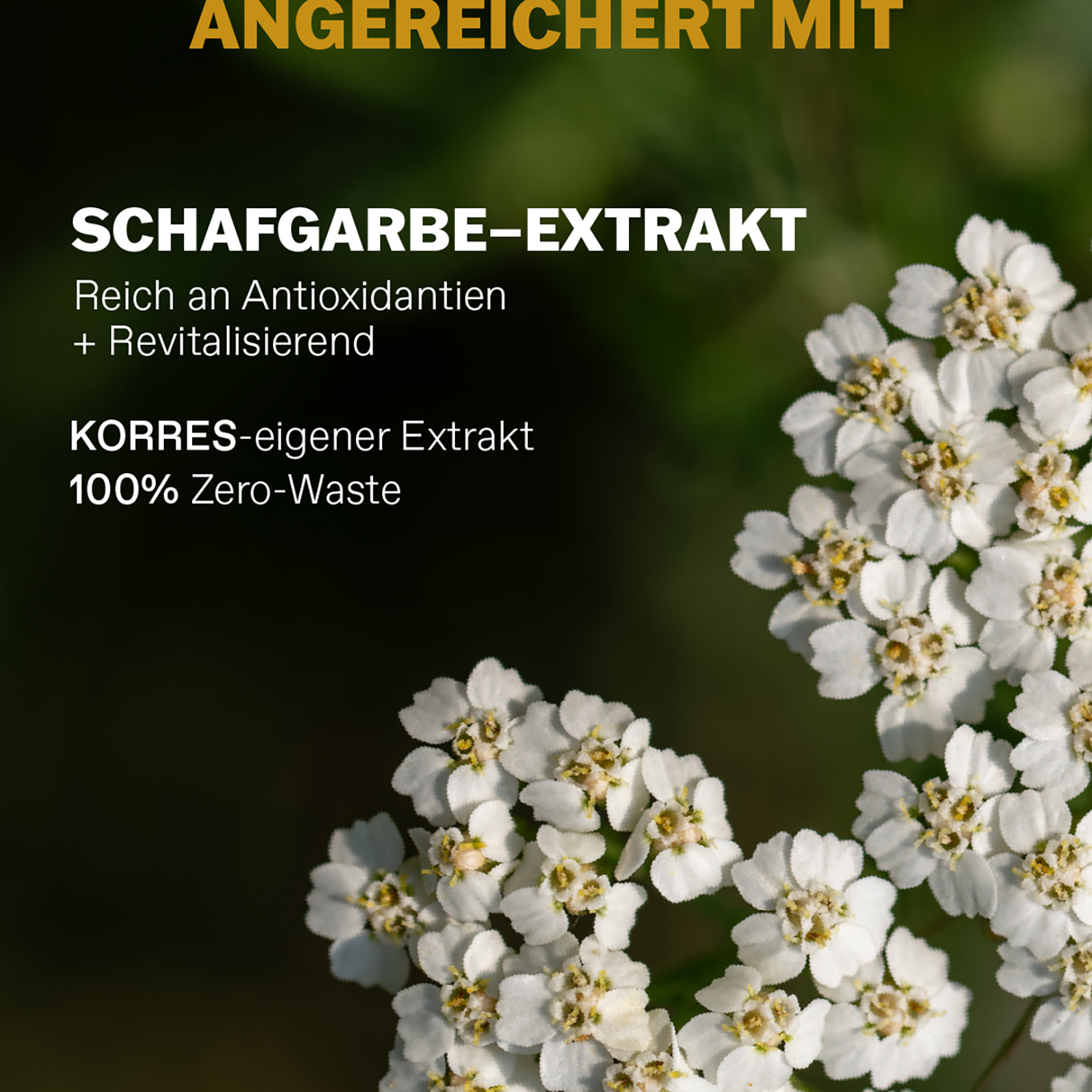 Korres - Athenian Grooming - Anti-Aging Creme