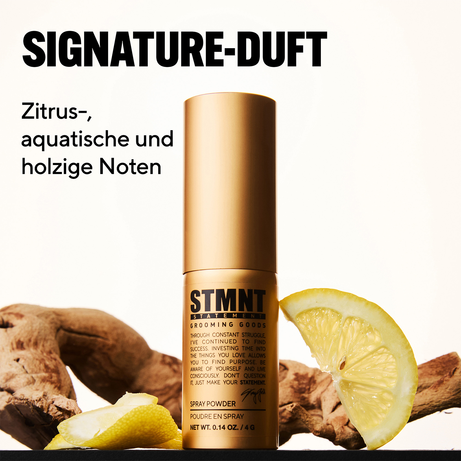 STMNT - Spray Powder - Staygolds Signature - Haarpuder