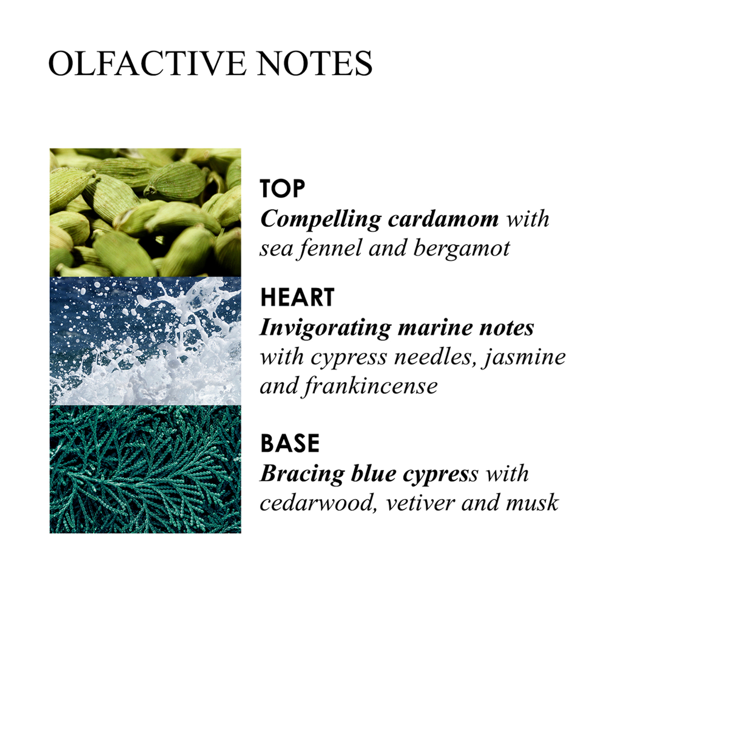 Molton Brown - Coastal Cypress & Sea Fennel - Duschgel - Nachfüllpack